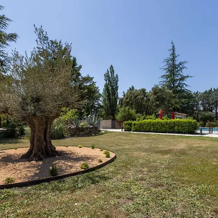 Smartstay Mas Les Cedres - Proche Isle-Sur-La-Sorgue Lagnes Exterior photo